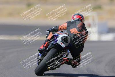 media/Oct-08-2022-SoCal Trackdays (Sat) [[1fc3beec89]]/Turn 11 Backside (1145am)/